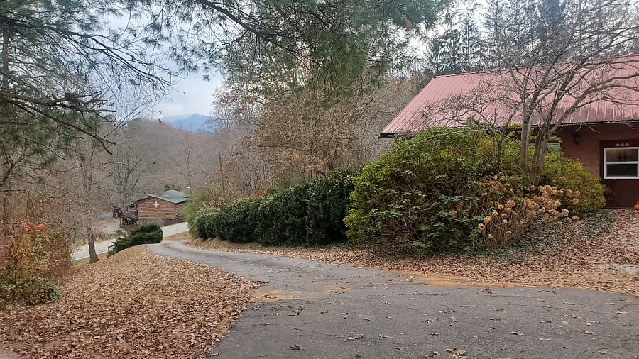 Front driveway.