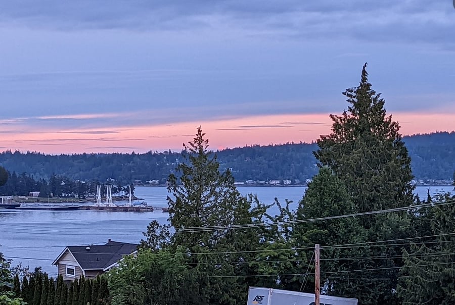 peekaboo view from the cottage