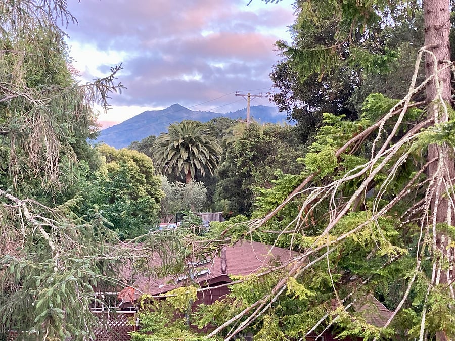 From Bedroom Window