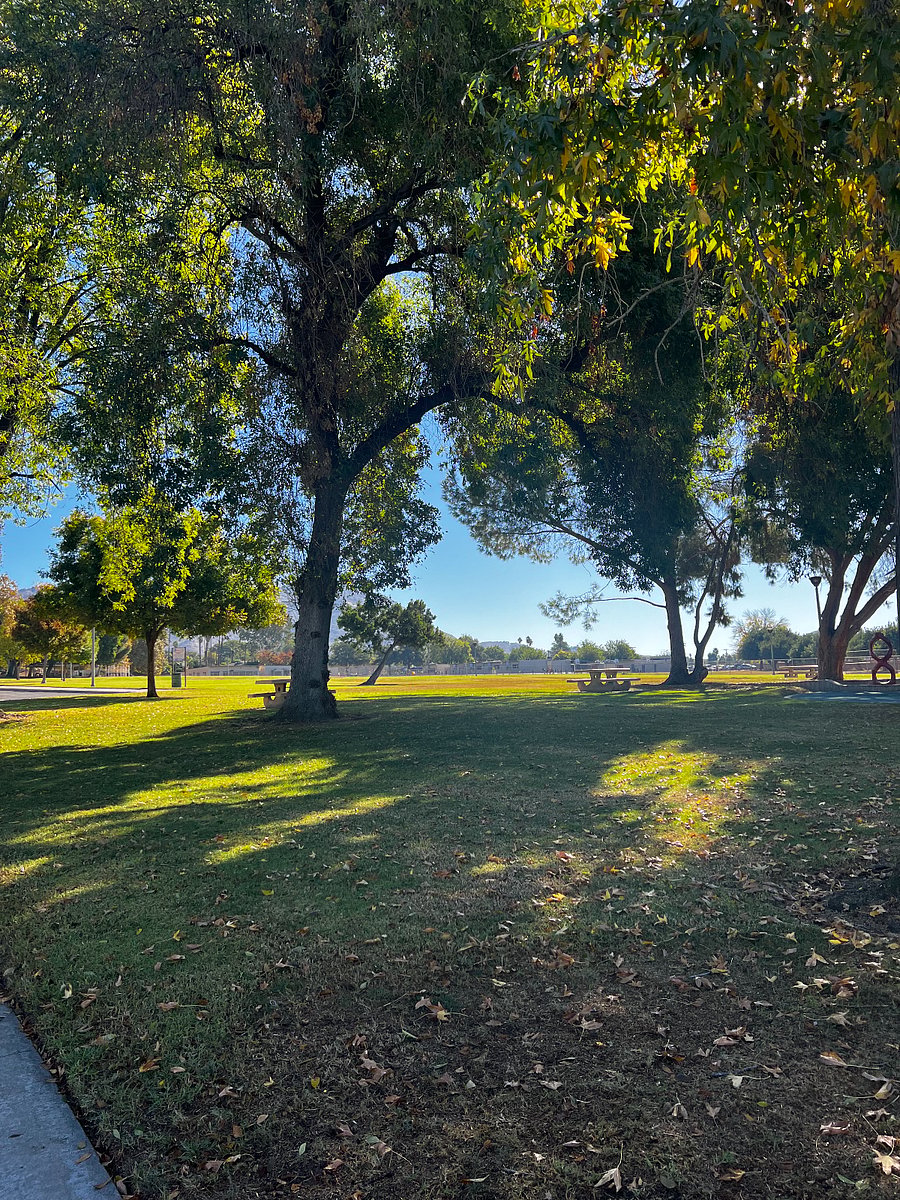 Local park a few houses away.