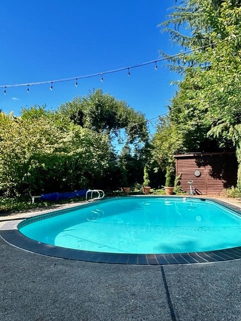 Furnished Finder property 618257_1 photo 13