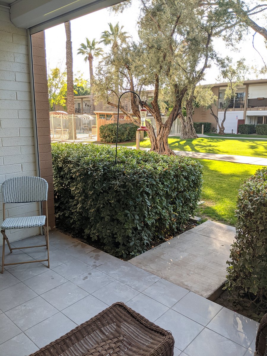 Furnished Finder property 618325_2 photo 16