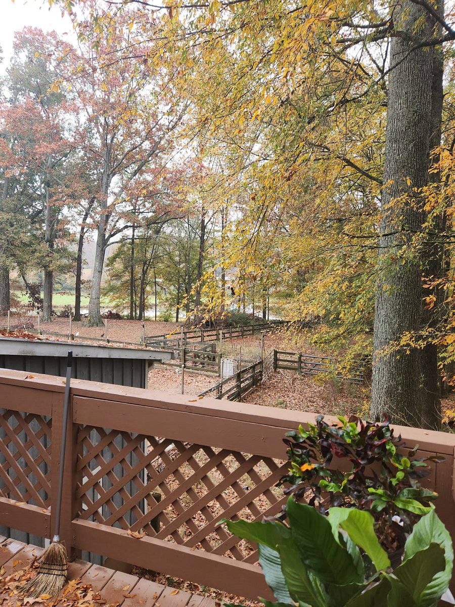 Furnished Finder property 618378_1 photo 14