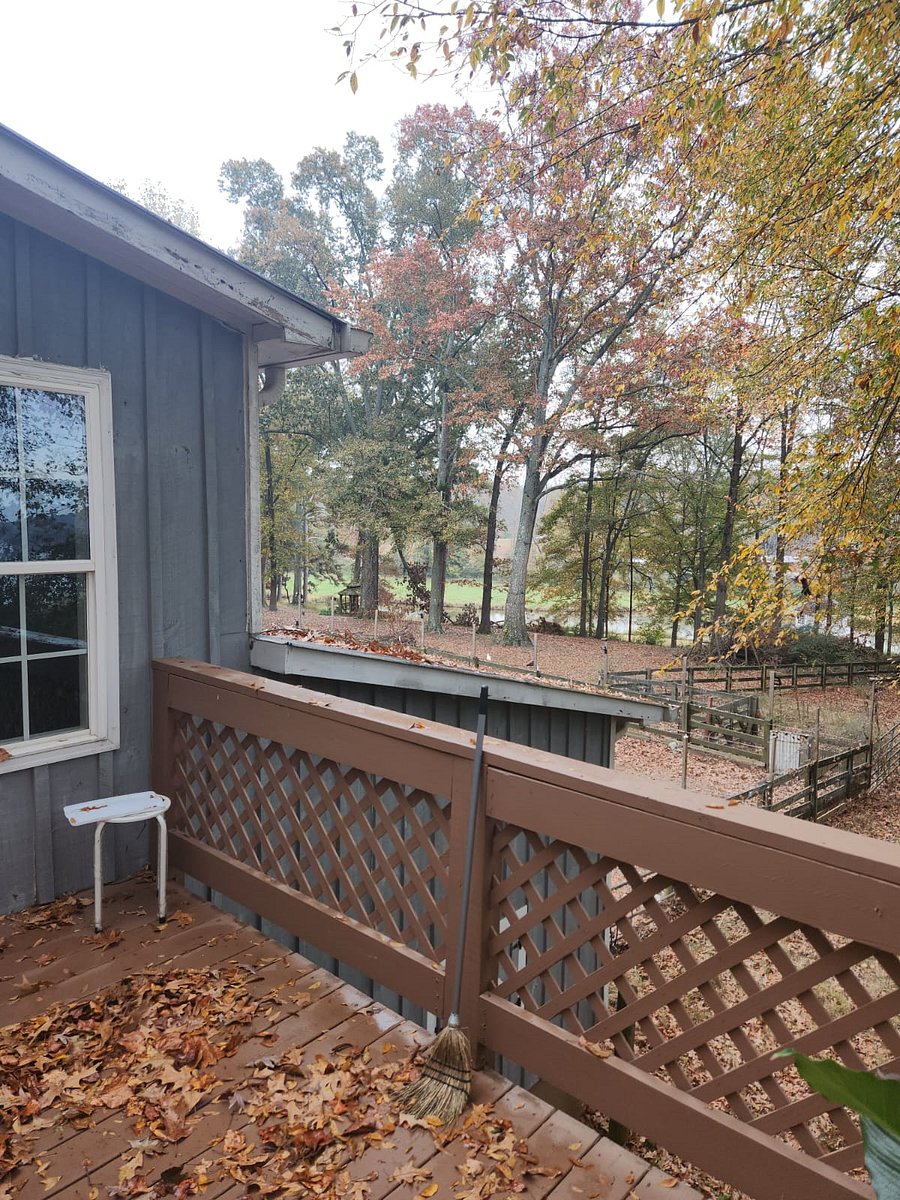 Furnished Finder property 618378_1 photo 12