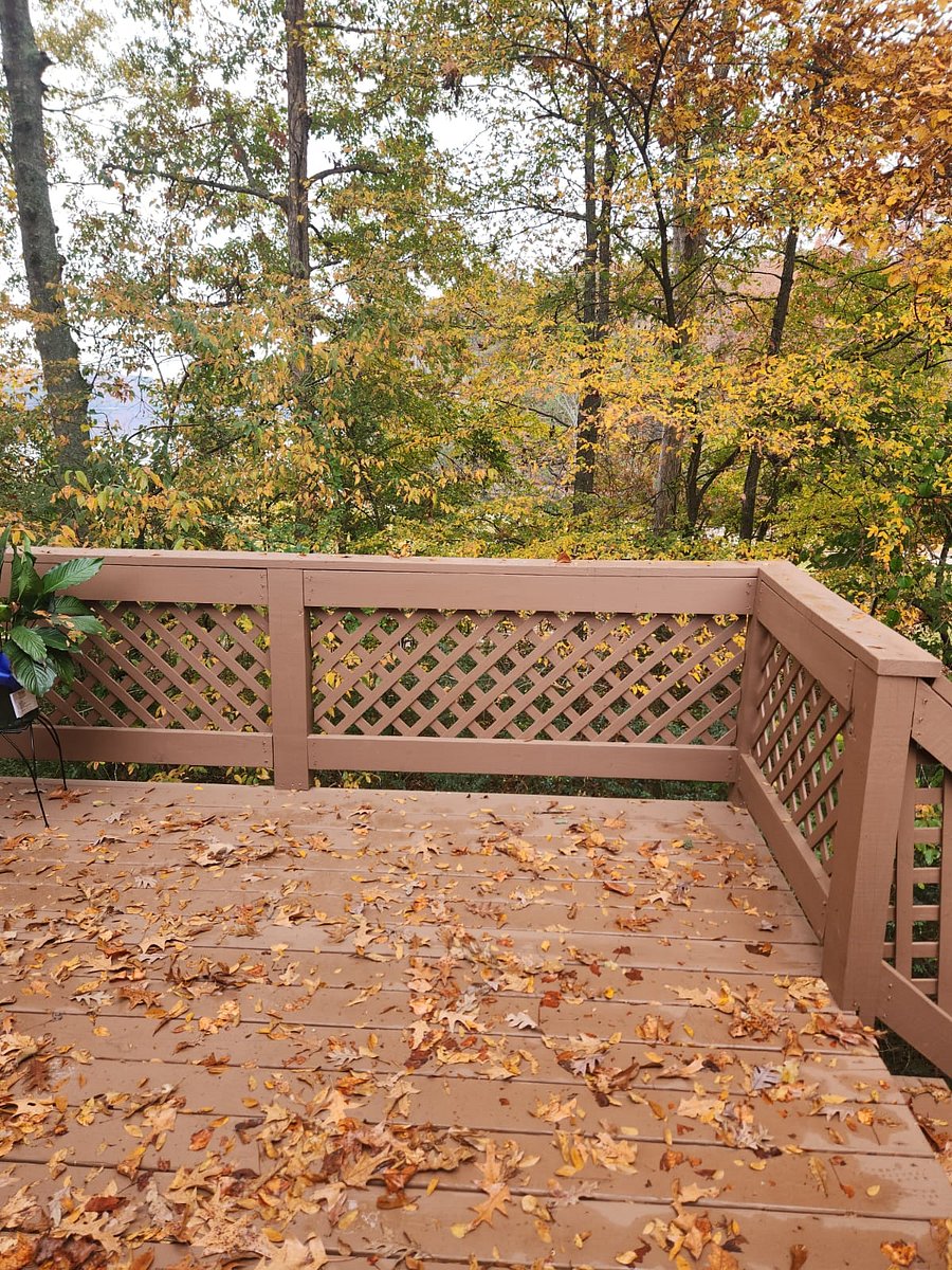 Furnished Finder property 618378_1 photo 13