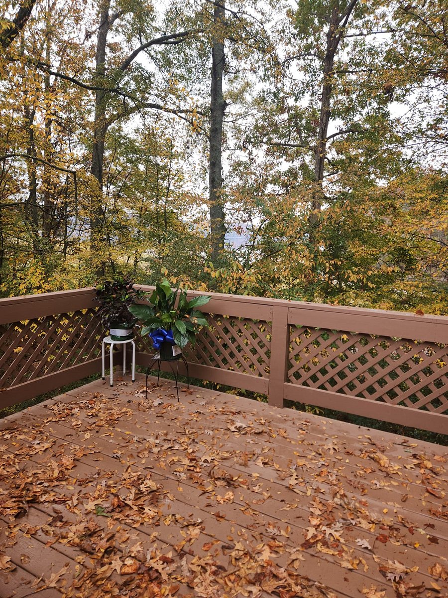 Furnished Finder property 618378_1 photo 15