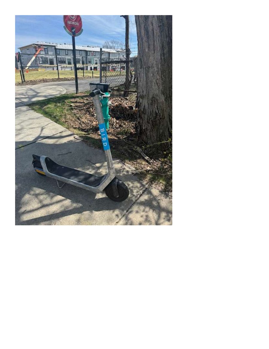 easy access to birds when, but also a short walk to other areas.