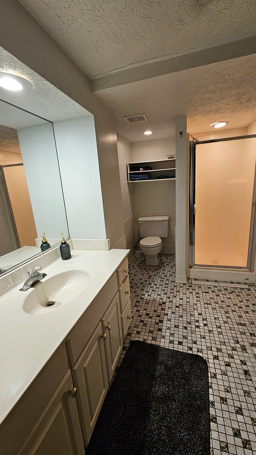 Lower level bathroom