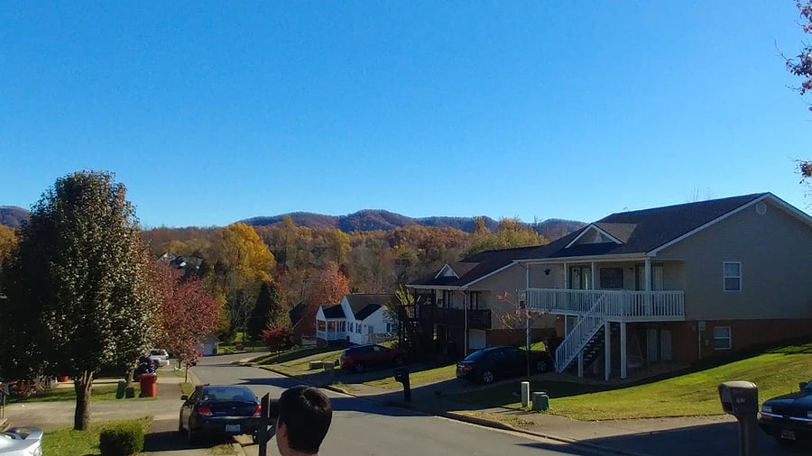 The guesthouse's neighborhood
