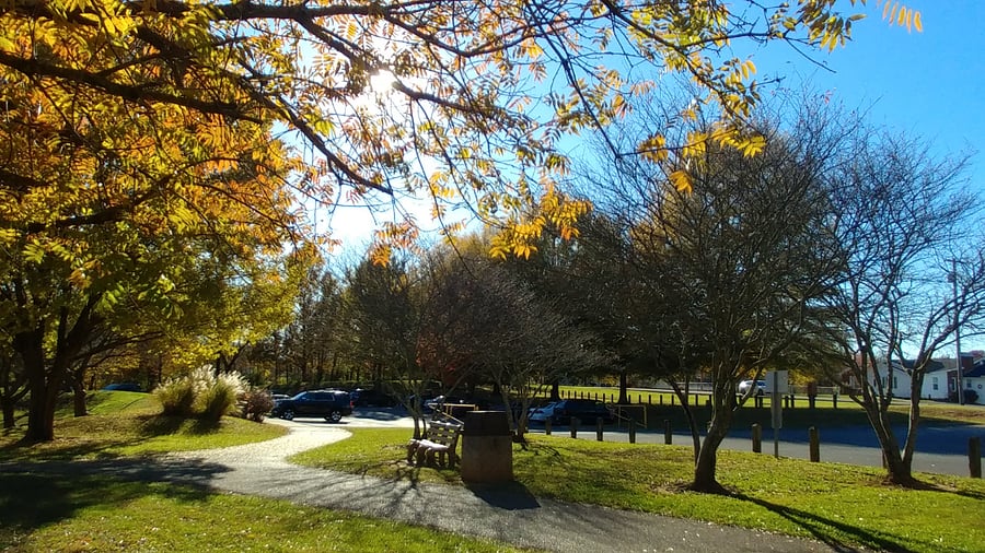 Walking paths at Willow Springs
