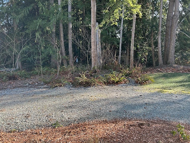 View outside bedroom and driveway parking.