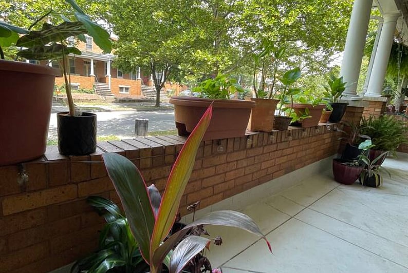 Furnished Finder property 619136_2 photo 12