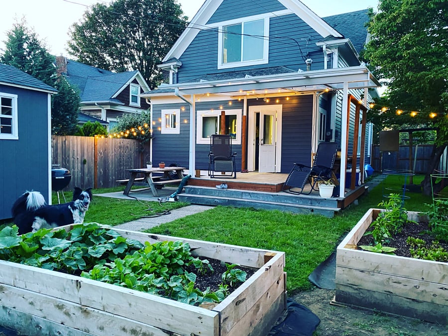 Backyard in summer
