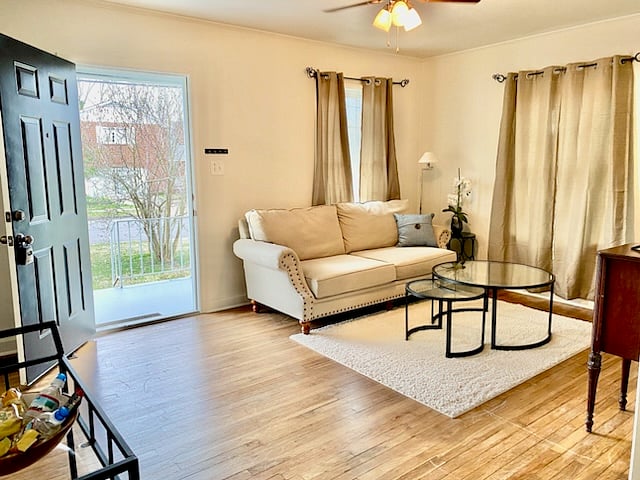 Furnished Finder property 619676_1 photo 6