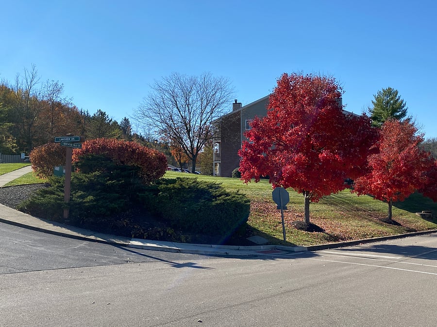Beautifully landscaped and well-maintained grounds