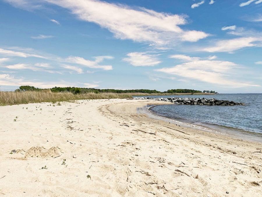 beach access through natural trail