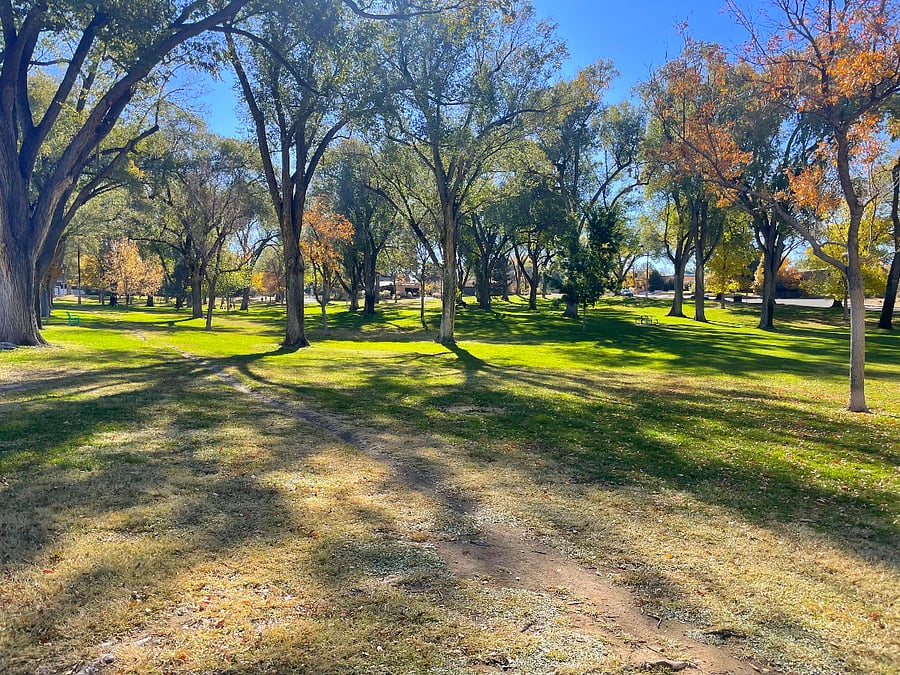 Hyder Park is only 1.5 blocks from the house. This is a wonderful place to get some outdoor exercise and walk your furry friends.