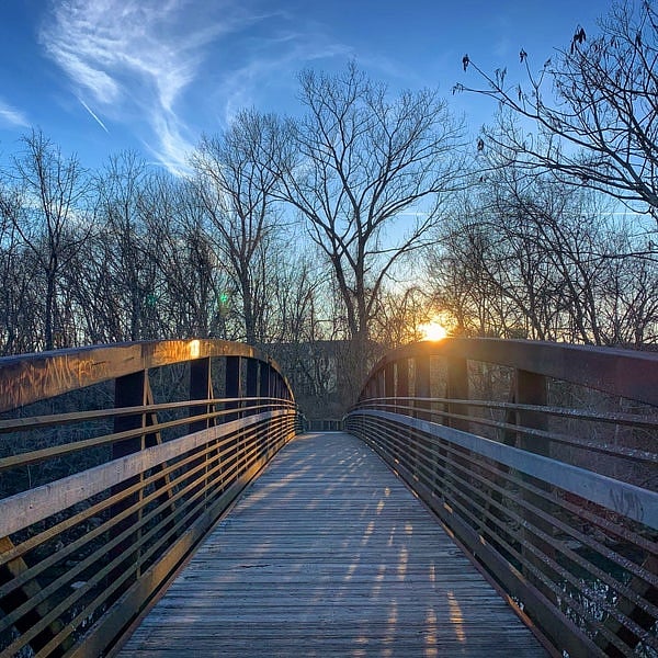 Richland greenway, shaded and paved.