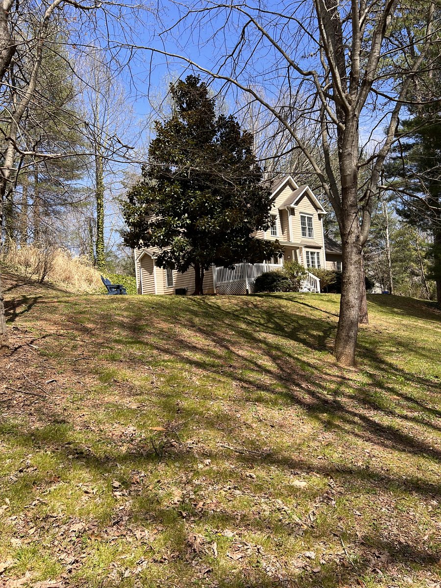 Furnished Finder property 620362_1 photo 23