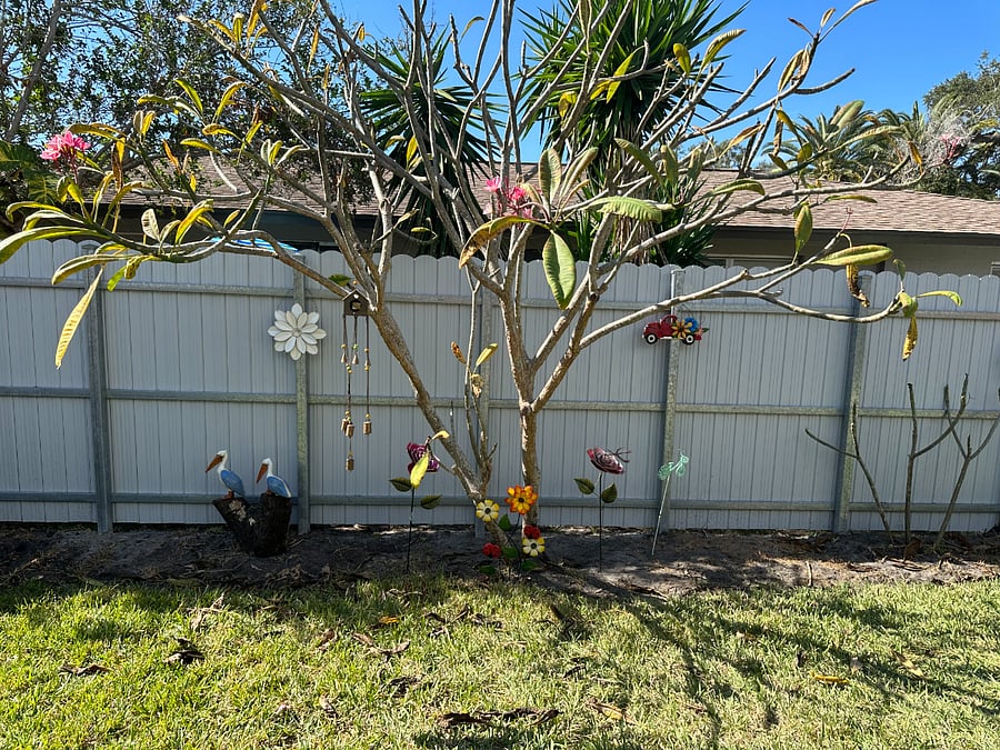 Furnished Finder property 620565_1 photo 14
