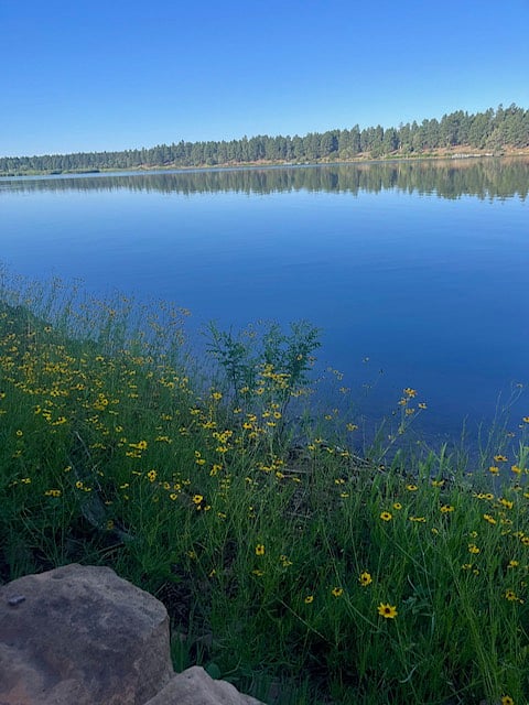 Fool Hollow Lake