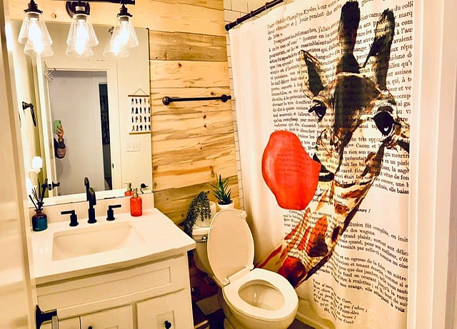 Furnished Finder property 620774_1 photo 6