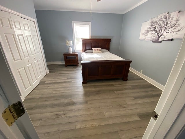 Furnished Finder property 620984_1 photo 10