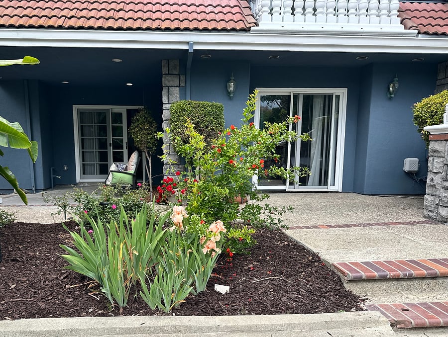 Studio Suite
Available: Starting November 30
Rent: $2,850/month + $150/month utilities