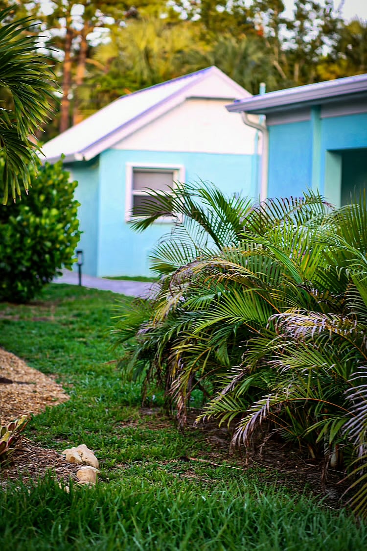 Furnished Finder property 621330_2 photo 75