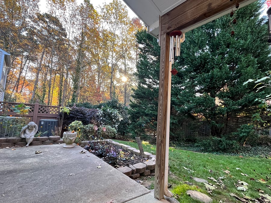 Covered Patio with small garden