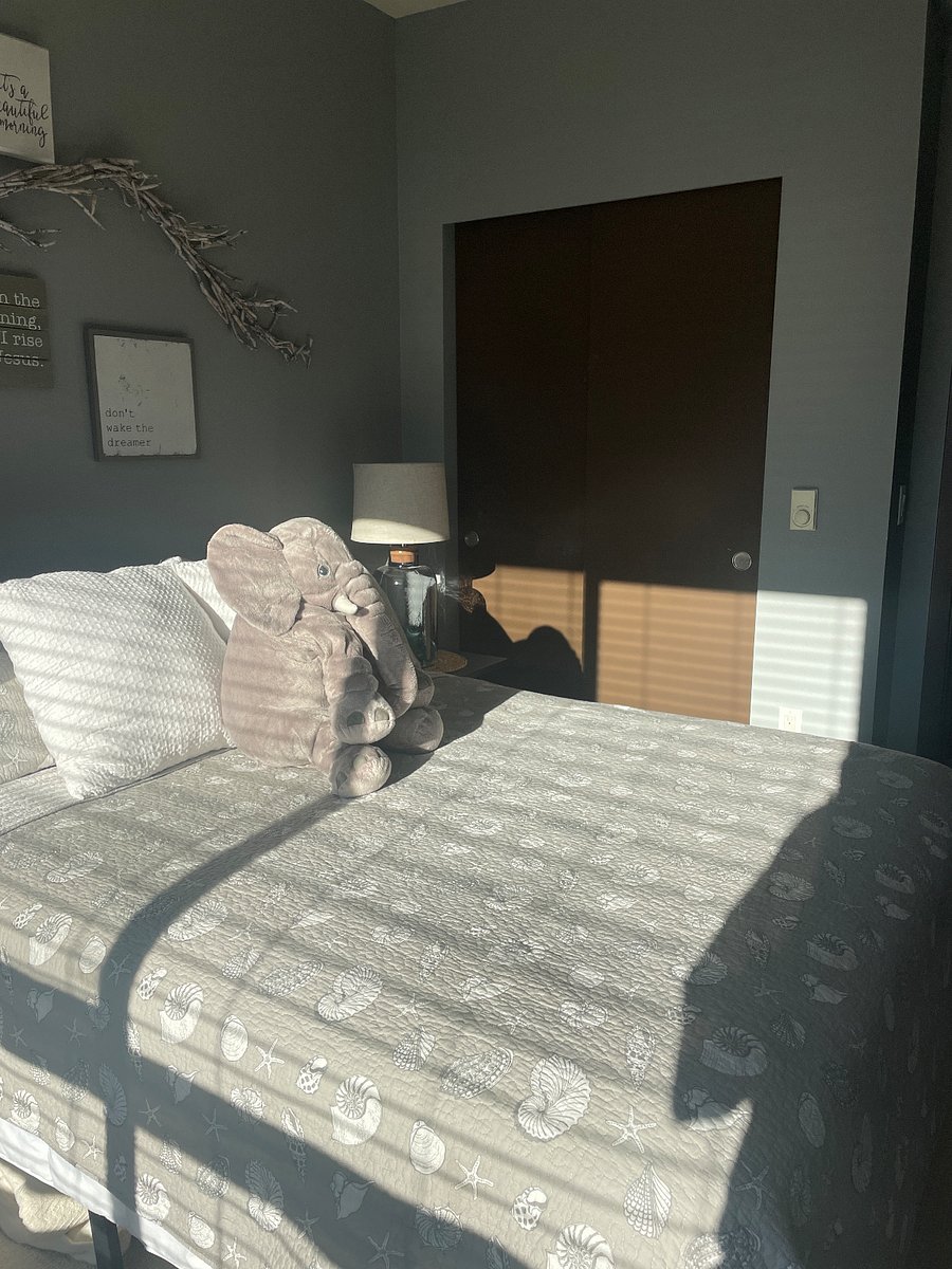 Furnished Finder property 621418_1 photo 17