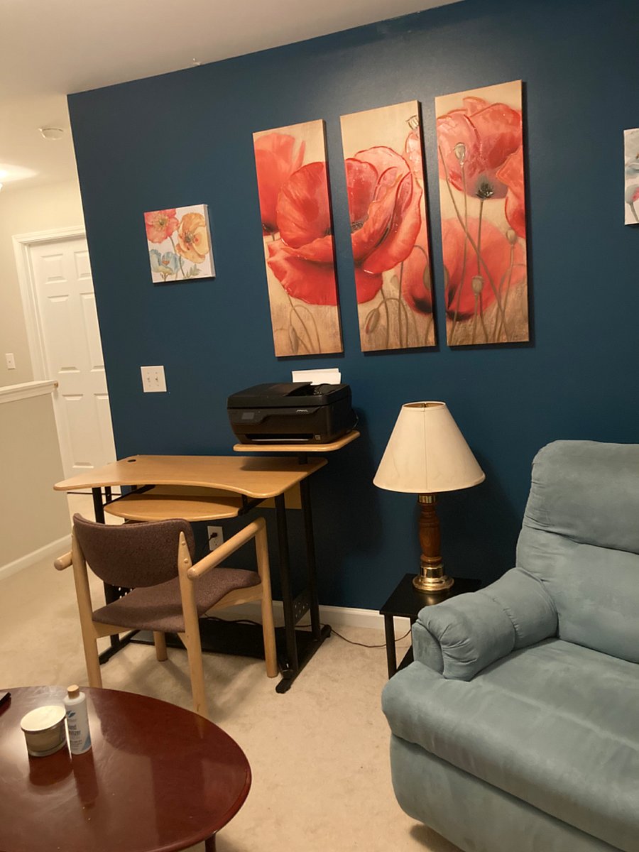 Furnished Finder property 621454_1 photo 17