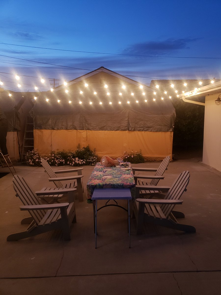 Outdoor backyard evening vibes