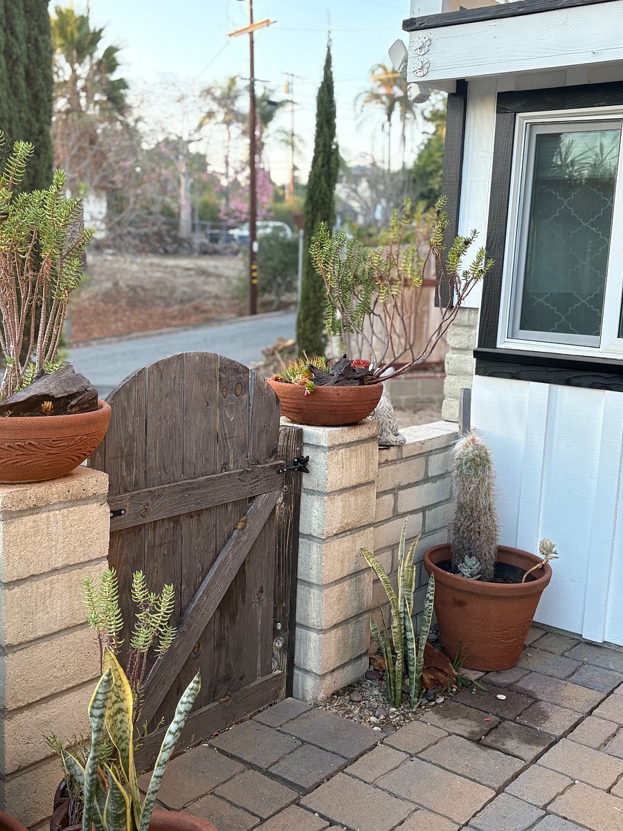 Looking toward driveway entrance