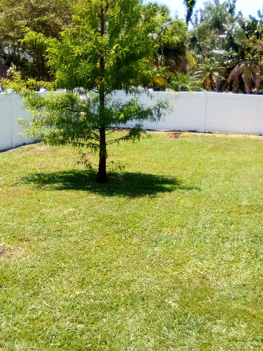 Front fenced yard