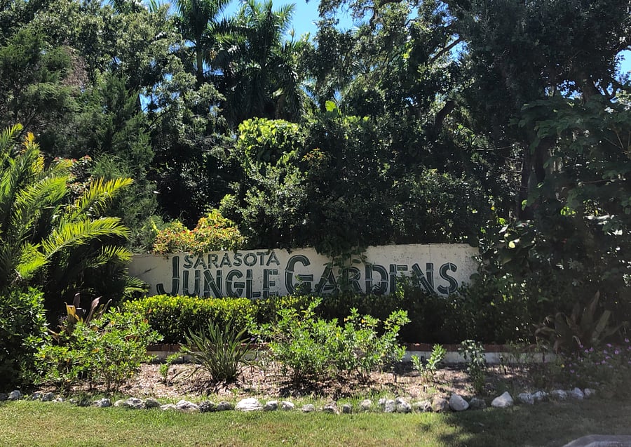 Walk to Jungle Gardens