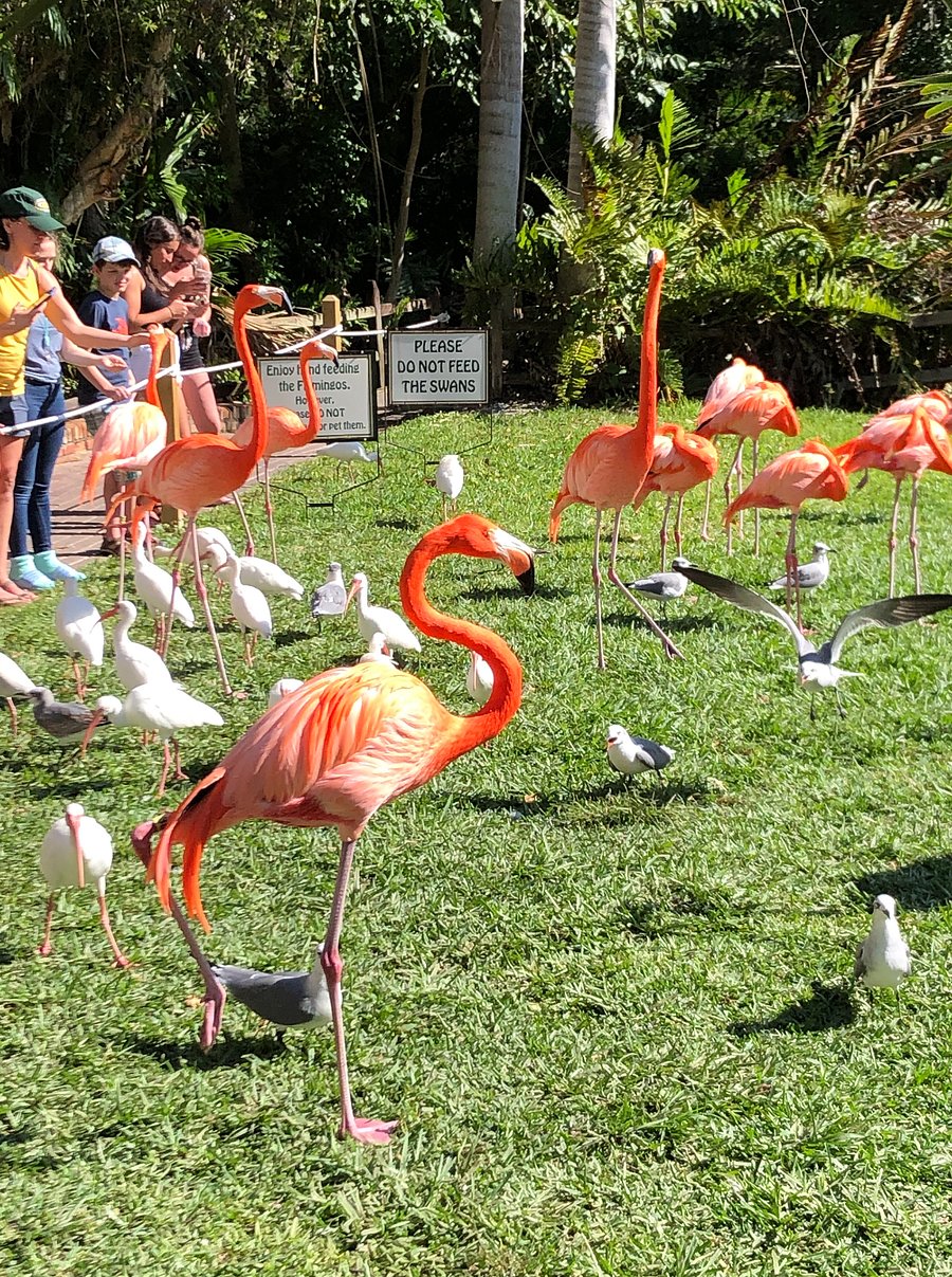 Walk to Jungle Gardens