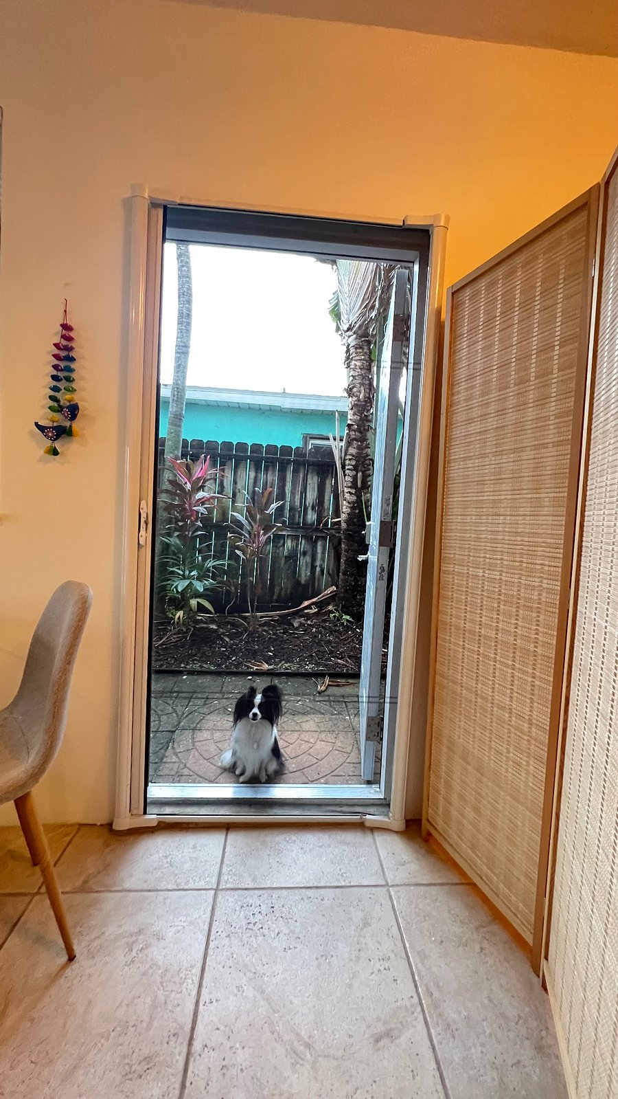 Your door to outside and Zoya.