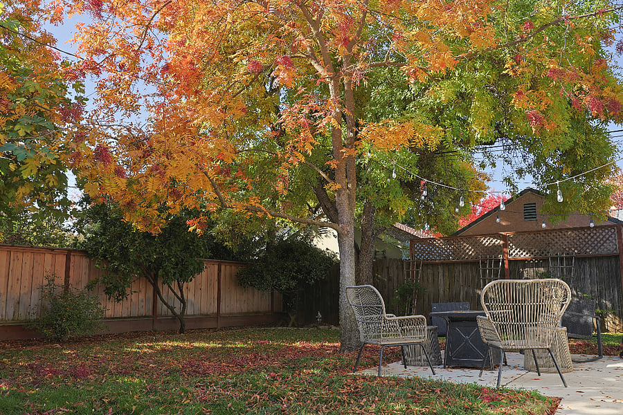 Furnished Finder property 622184_1 photo 15