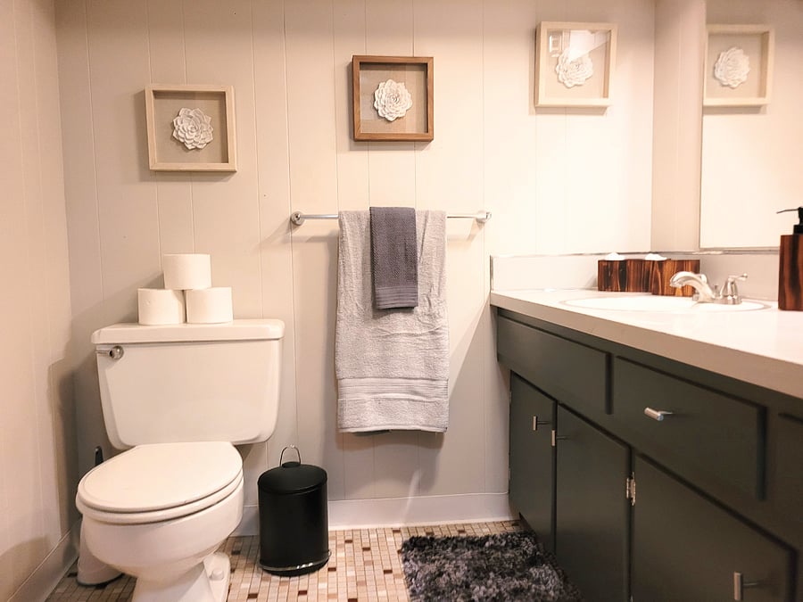 Furnished Finder property 622189_1 photo 25
