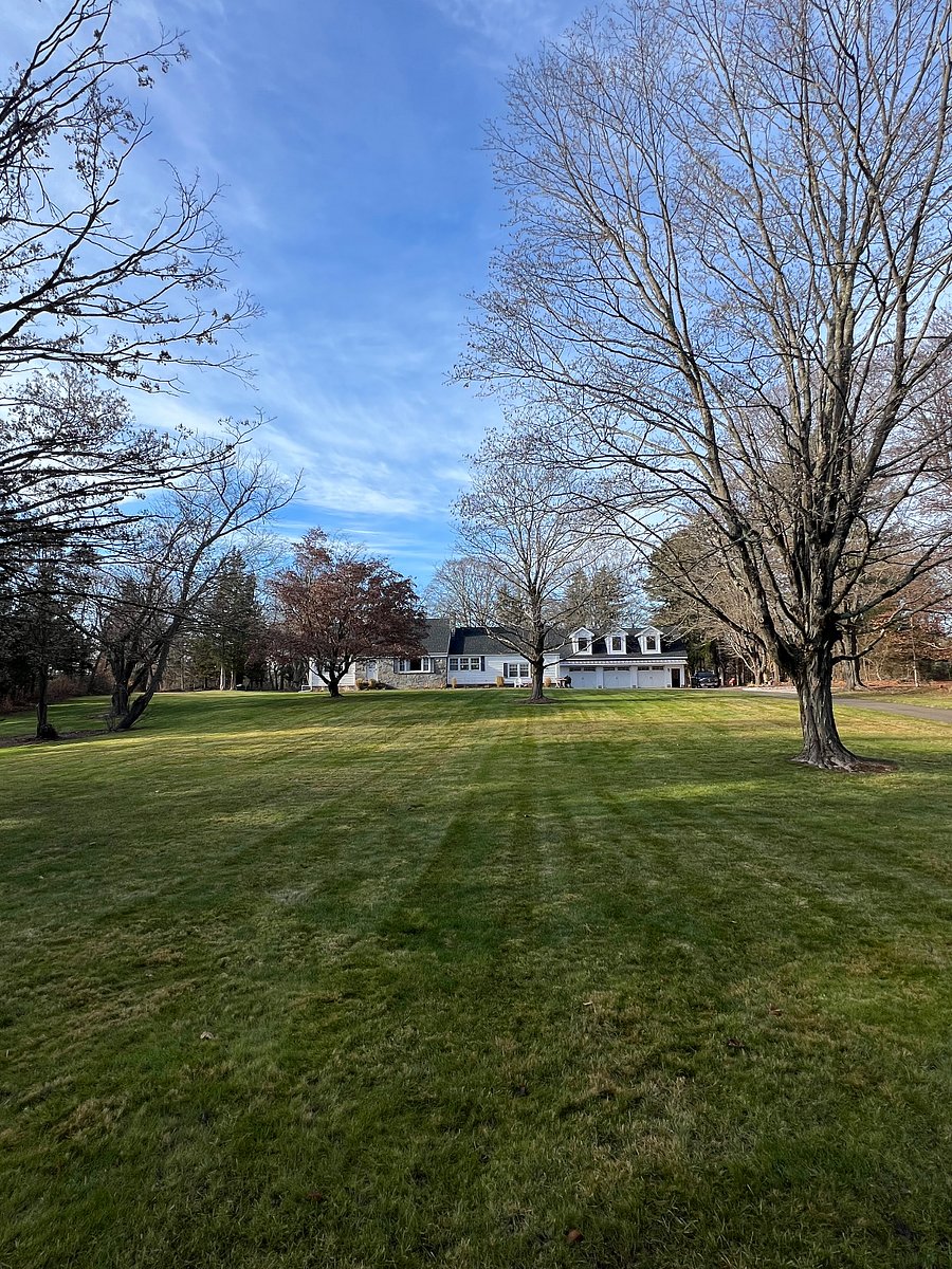 Furnished Finder property 622225_1 photo 14