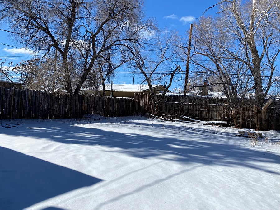 Large backyard. Gate to driveway means the entire property is enclosed. Perfect for dogs.