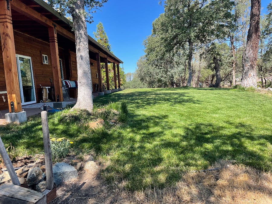 Back yard has 40 acres of privacy.