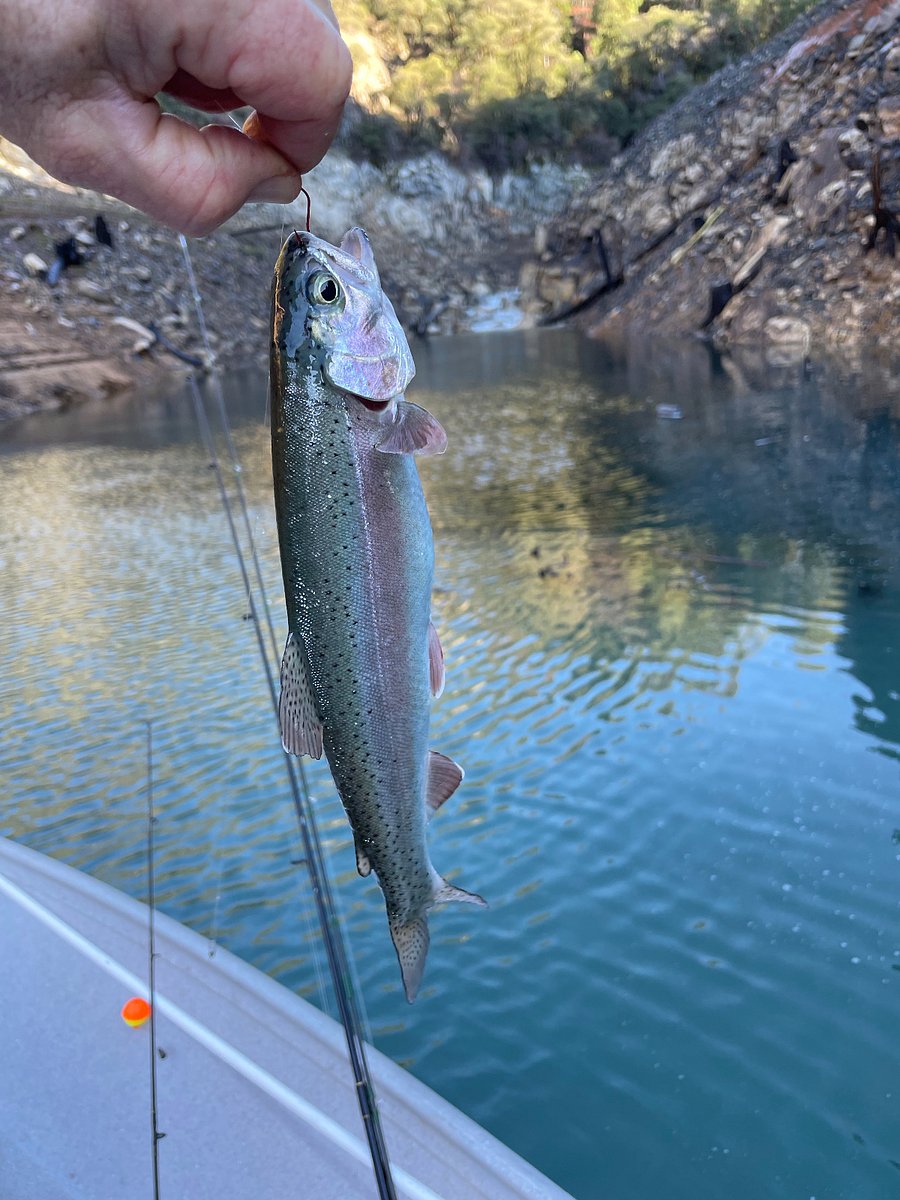Local fishing's excellent!