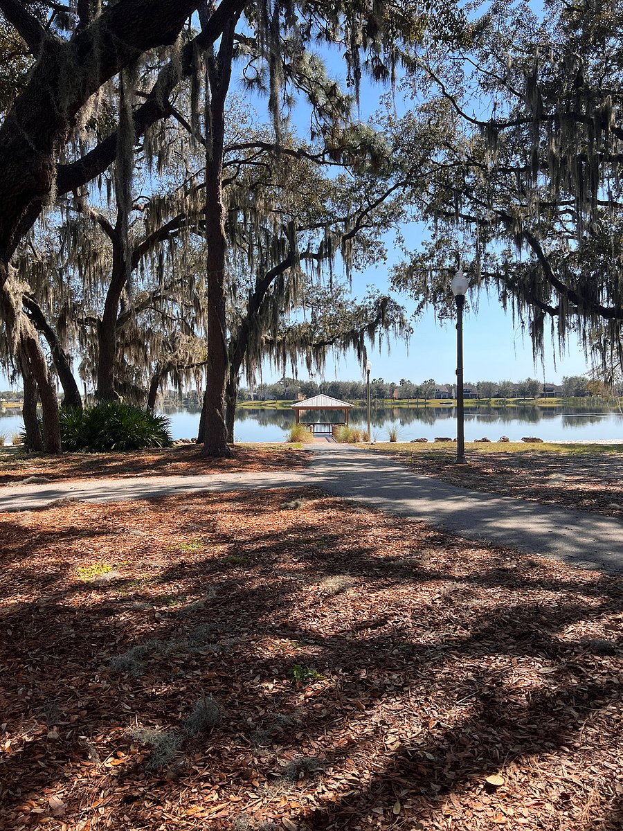 Furnished Finder property 622305_1 photo 20