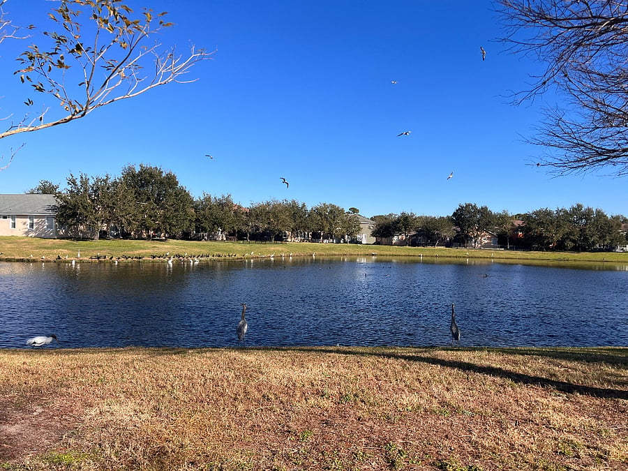 Furnished Finder property 622305_1 photo 21