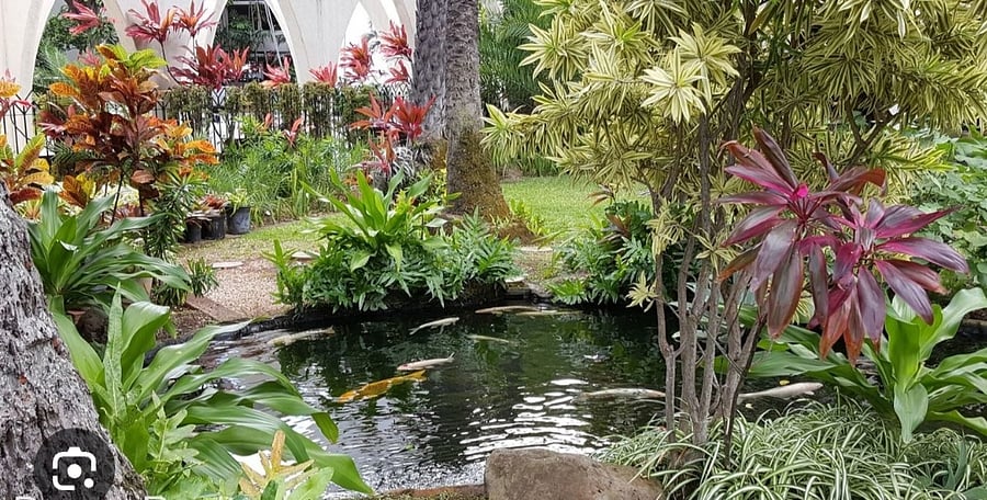 Beautiful Garden Setting