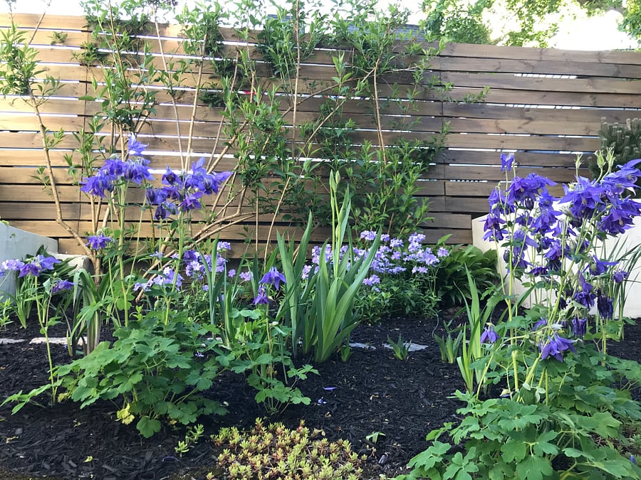 Beautiful gardens year round: Early spring tulips and forsythia; late spring iris and Columbine; summer phlox, hydrangea, lily; fall Shasta daisy and sedum; winter Holly and evergreens.