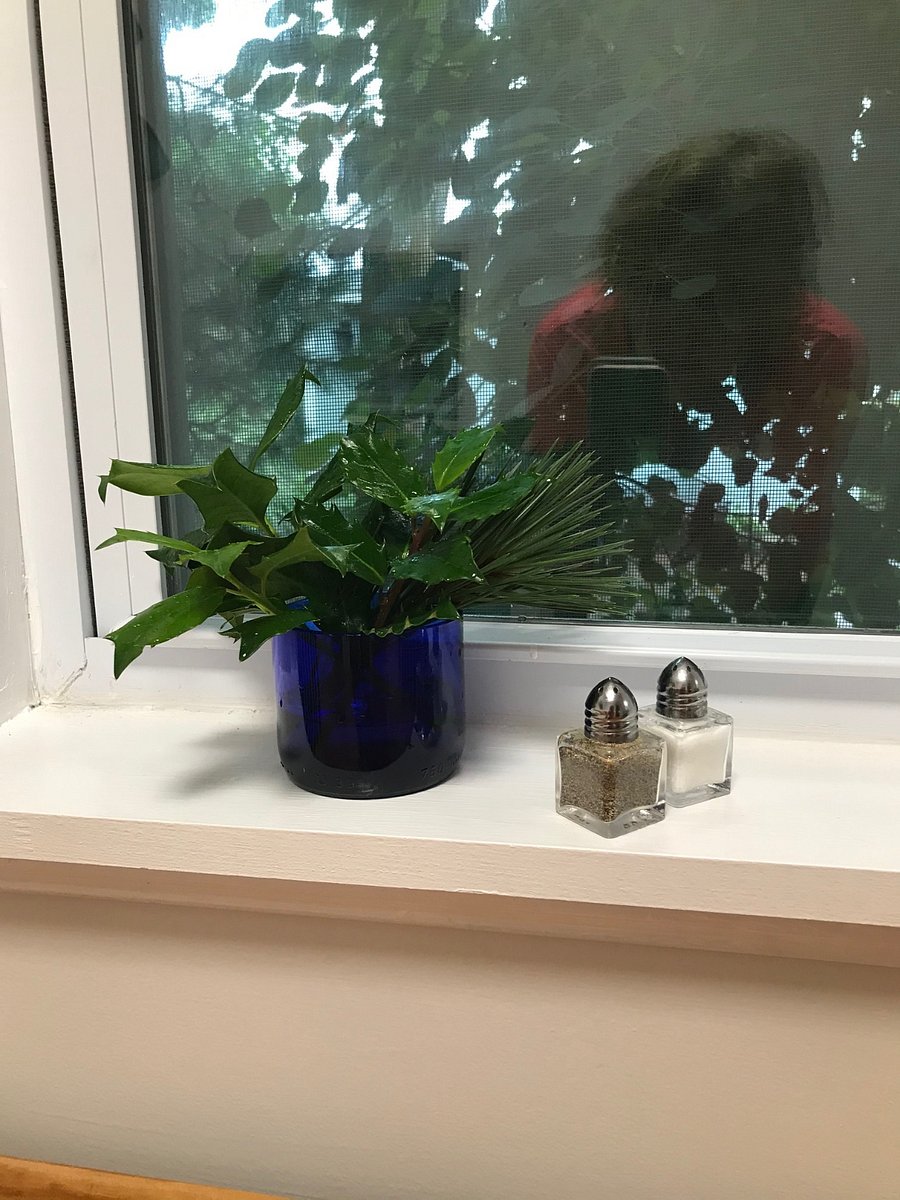 Feel free to snip foliage and plants year round.