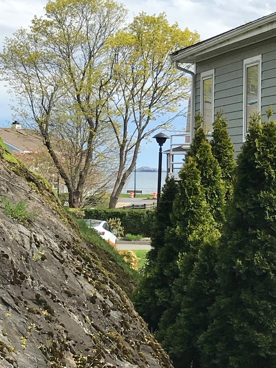 View from the meditation garden.